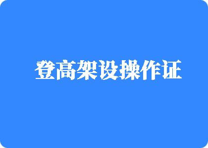 www.sss操逼视频登高架设操作证